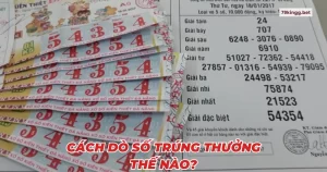 Cách dò số trúng thưởng thế nào?