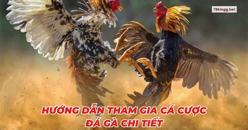 Hướng dẫn tham gia cá cược Đá gà chi tiết