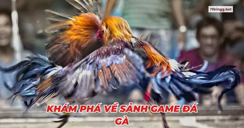 Khám phá về sảnh game đá gà