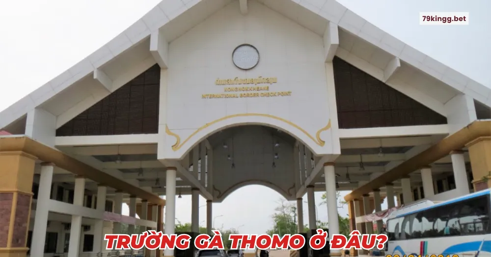 Trường gà thomo ở đâu?